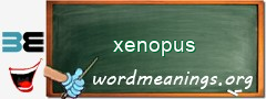 WordMeaning blackboard for xenopus